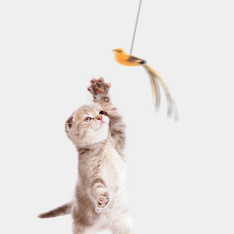 Cat Toy - HunterCatâ„¢