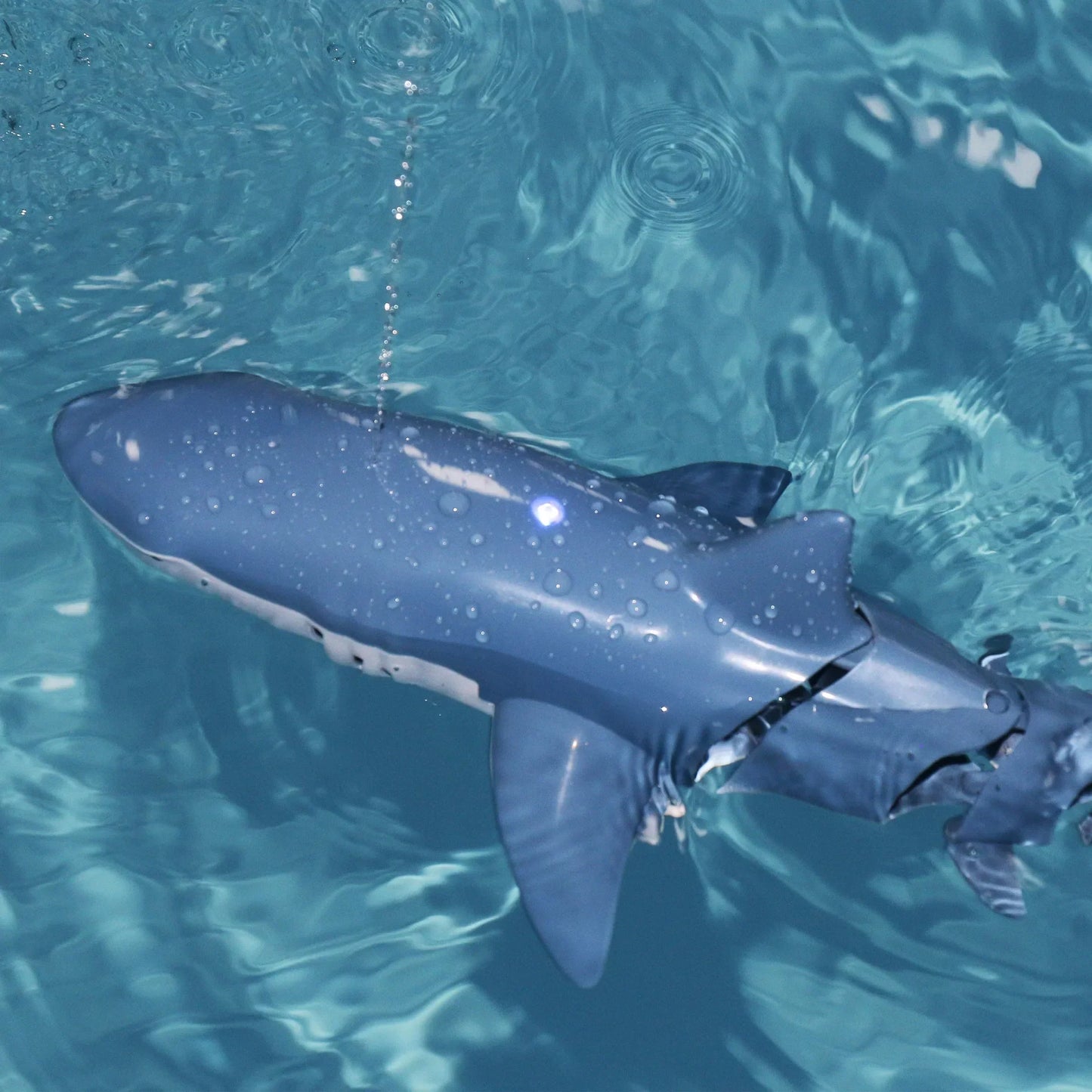 Remote Control Shark Adventure